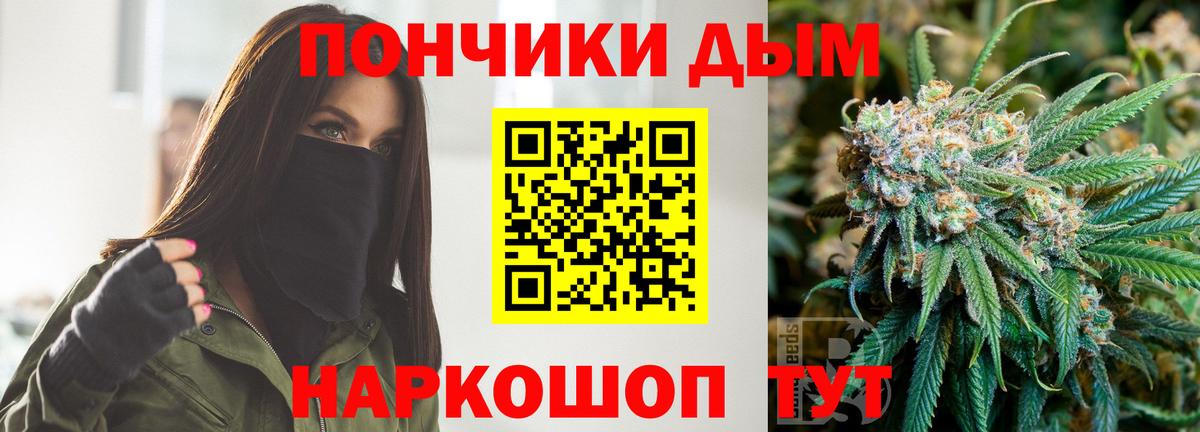 Каннабис Bruce Banner  Марихуана план  Вход с VPN  Выборг  Каннабис план  Шишки марихуана Ganja 